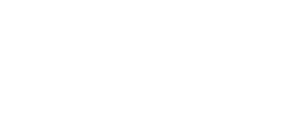 wow-logo-detailing